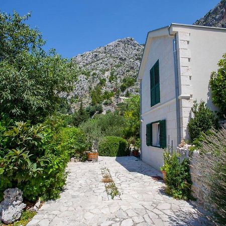 Luxurious Holiday Home In Makarska With Jacuzzi Εξωτερικό φωτογραφία