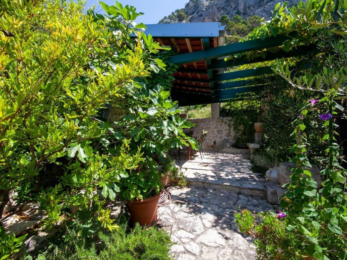 Luxurious Holiday Home In Makarska With Jacuzzi Εξωτερικό φωτογραφία