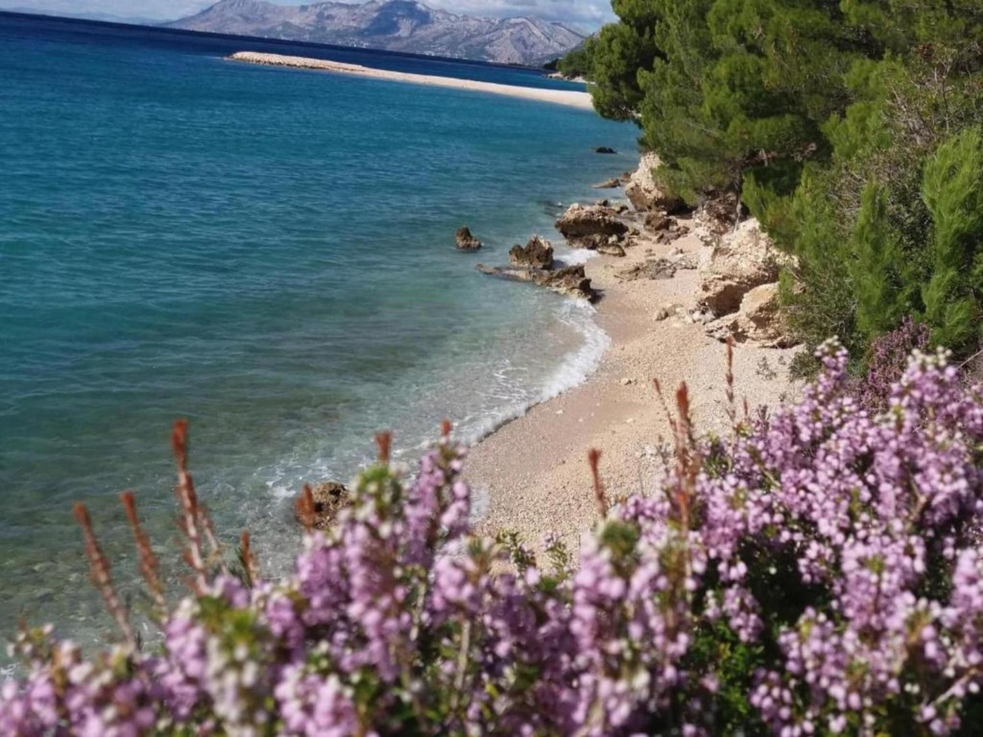 Luxurious Holiday Home In Makarska With Jacuzzi Εξωτερικό φωτογραφία